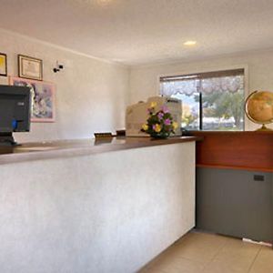 Super 8 By Wyndham Bishop